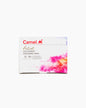 Camel Artist Coloured Drawing Ink 20ml (12 Shades)