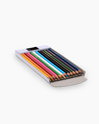 Camel COLOUR PENCIL FULL SIZE (12 Shades)