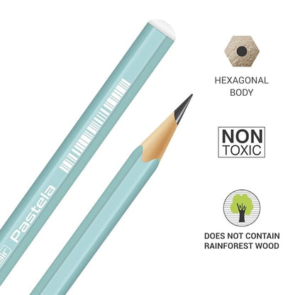 Flair Creative PASTELA Pencil (Pack of 10)