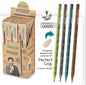 Hauser Artz WOODZ Wooden Pencil (10 Pcs Box)