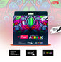 Flair Liquid Acrylic Marker -12 Shades