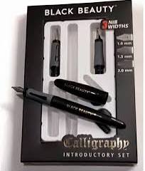 Artline Black Beauty Calligraphy Fountain Pen