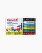 Camel Acrylic Brush Markers (Set of 6)