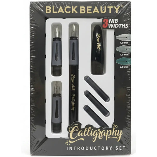 Artline Black Beauty Calligraphy Fountain Pen